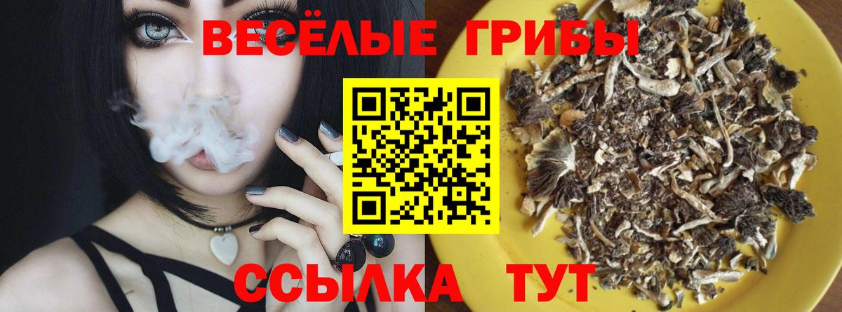 Галлюциногенные грибы Psilocybe Вольск