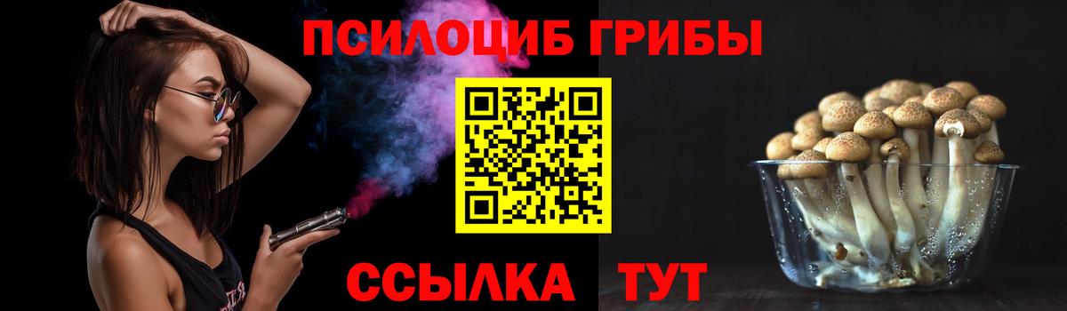 Вольск  Псилоцибиновые грибы Cubensis  Галлюциногенные грибы GOLDEN TEACHER  Вход с VPN 